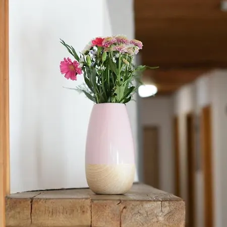 Lichtspitze Maison d'hôtes Häselgehr