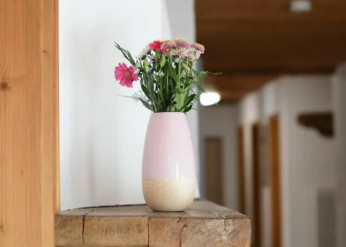 Lichtspitze בית הארחה Häselgehr